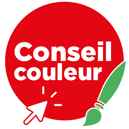 Conseils Couleurs Levis